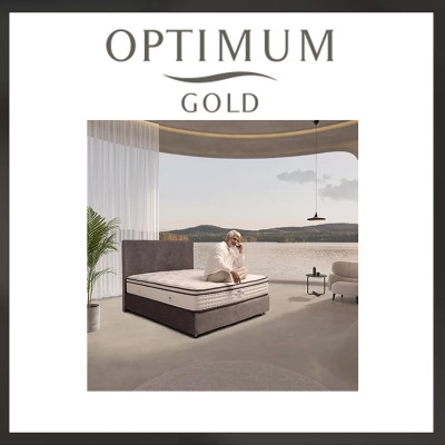 GOLD V (10)