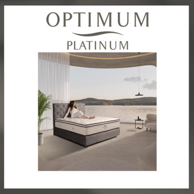 PLATINUM V (10)