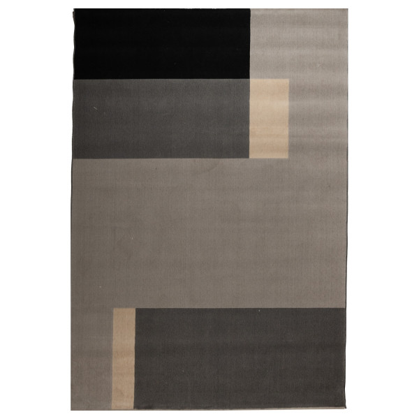 Χαλί ArteLibre CANVAS 194-01 160x230cm