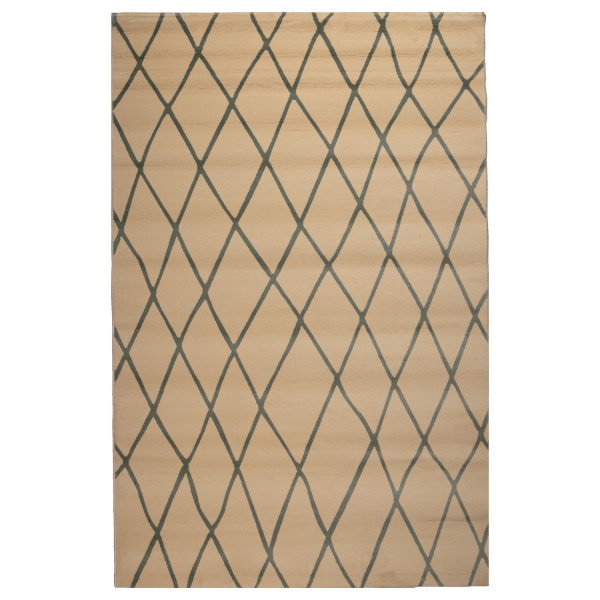 Χαλί ArteLibre ETHNIC S23 168-01 160x230cm