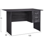 ΓΡΑΦΕΙΟ ΜΕΛΑΜΙΝΗΣ HAYDEN 120x60x75Υεκ.ΜΕ 3 ΣΥΡΤΑΡΙΑ ΣΕ ΑΝΘΡΑΚΙ ΧΡΩΜΑ H