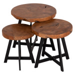 ΣΕΤ 3ΤΜΧ ΤΡΑΠΕΖΙΑ ΣΑΛΟΝΙΟΥ LUDETH HM18237 ΞΥΛΟ TEAK-ΜΕΤΑΛΛΟ Φ60-Φ50-Φ4