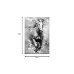 Πίνακας σε καμβά Horse Inart 60x3x90εκ